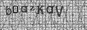 Visual Confirmation Security Code