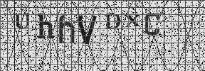 Visual Confirmation Security Code