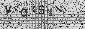 Visual Confirmation Security Code
