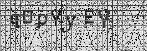 Visual Confirmation Security Code
