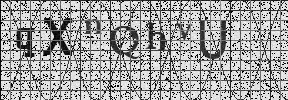 Visual Confirmation Security Code