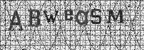 Visual Confirmation Security Code