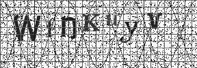 Visual Confirmation Security Code