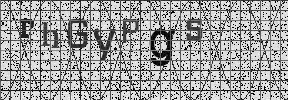 Visual Confirmation Security Code