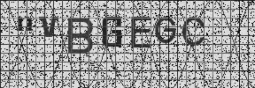 Visual Confirmation Security Code