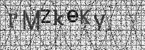 Visual Confirmation Security Code