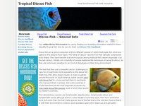 discus fish